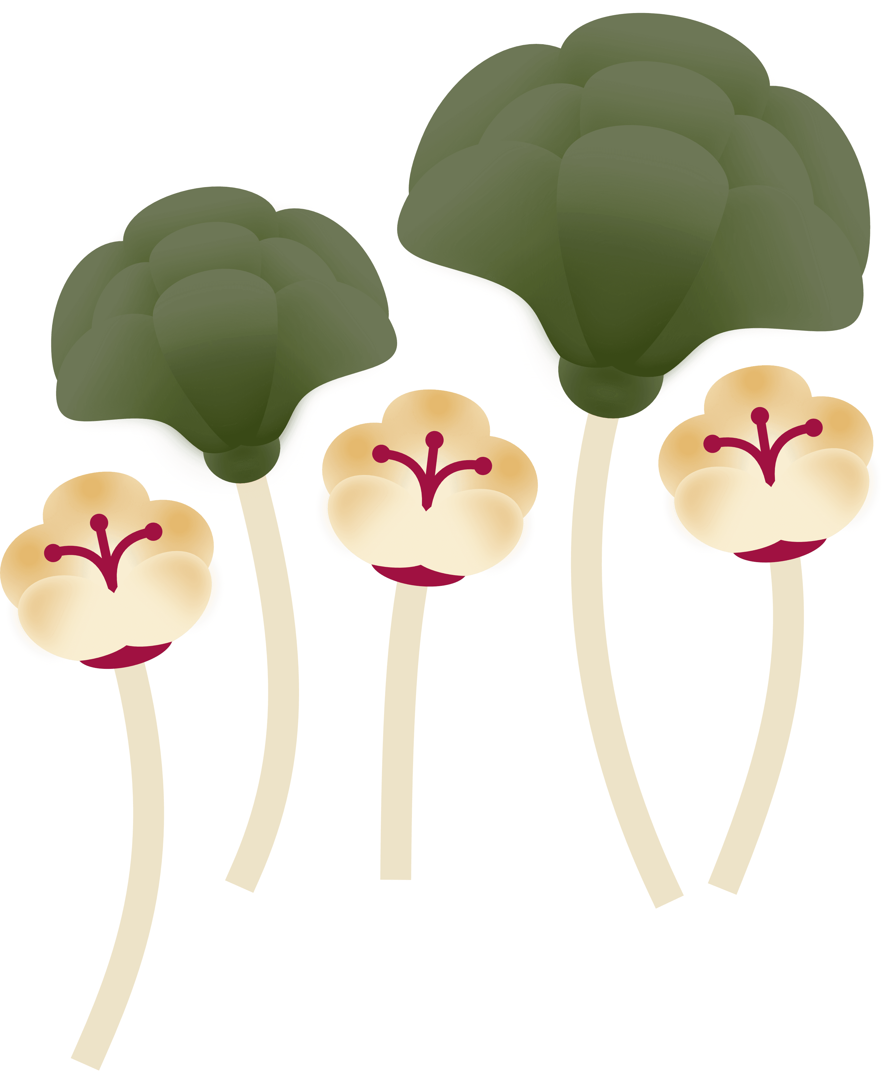 flowers
